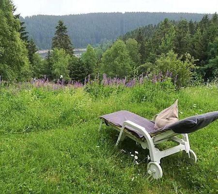 Harz-See-Lodge Schulenberg im Oberharz Exterior foto