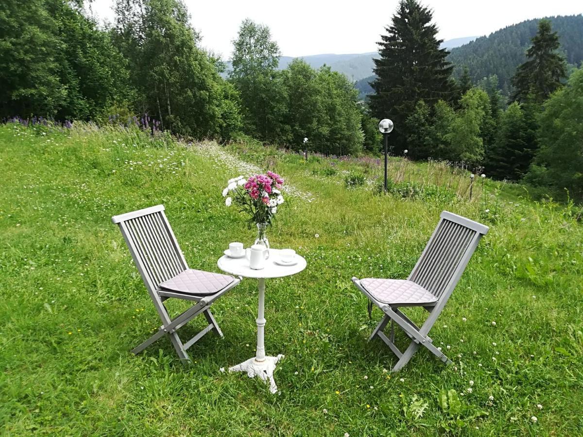Harz-See-Lodge Schulenberg im Oberharz Exterior foto